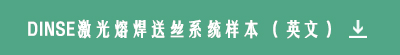 DINSE激光焊槍(圖3)